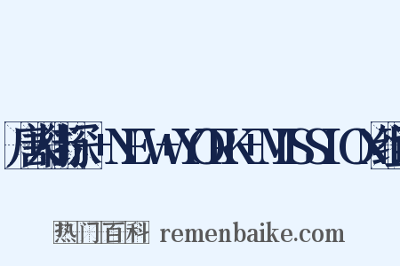 唐人街探偵+NEW+YORK+MISSION组词是什么意思的图片